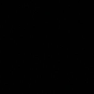 Meet your Posher, Renuka